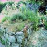 images/Schweden/Schweden 2009/IMG_4474.jpg